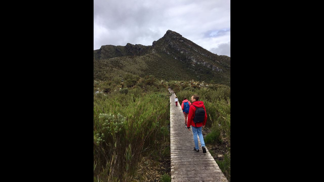 Ecotour Ao Parque Nacional De Chingaza (4)