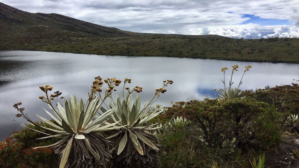 Parque Nacional Chingaza com Caminhada à Laguna de Siecha foto 2