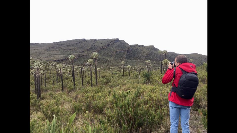 Parque Nacional Chingaza com Caminhada à Laguna de Siecha foto 3