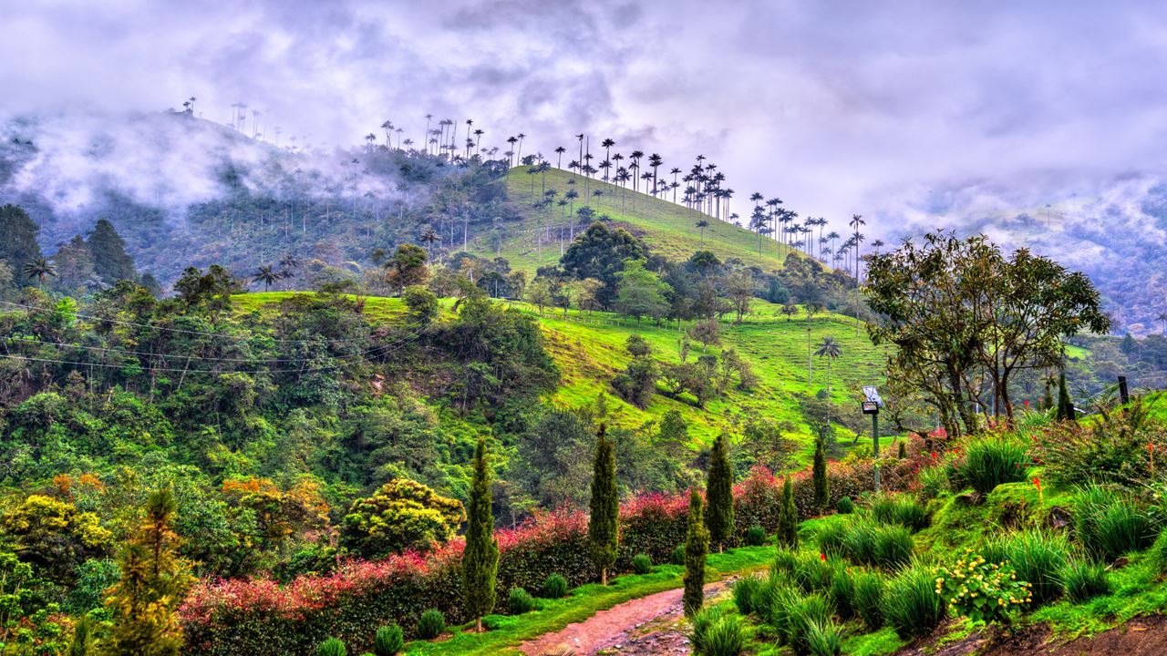 Colombia Esencial 8 Días: Bogotá Y El Eje Cafetero foto 1