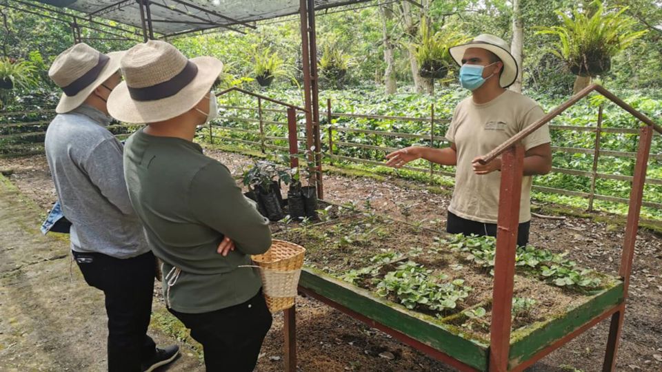 Finca Cafetera en Grupo: Visita Guiada en Cundinamarca foto 3