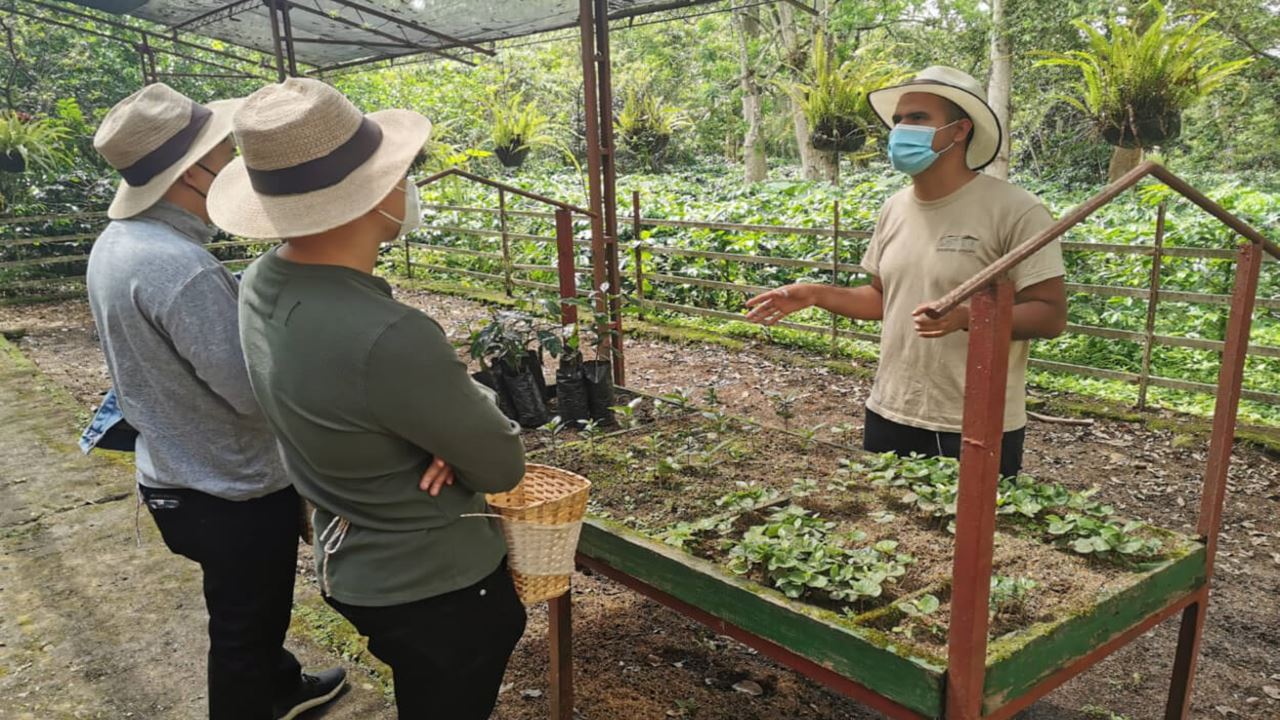 Passeio Em Grupo A Uma Fazenda De Café (2)