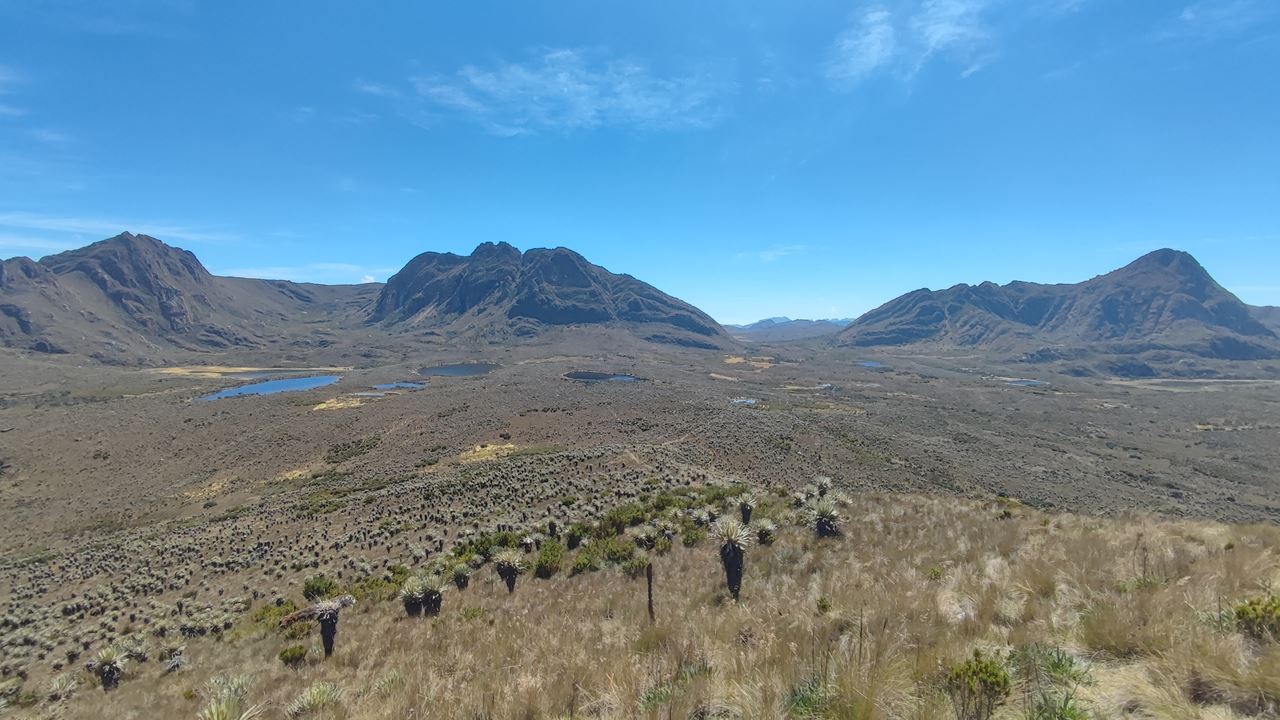Trekking Al Páramo De Sumapaz (1)