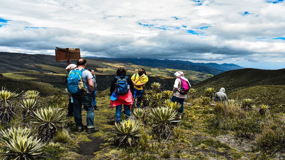 Trekking ao Páramo de Sumapaz com Guia e Almoço foto 4
