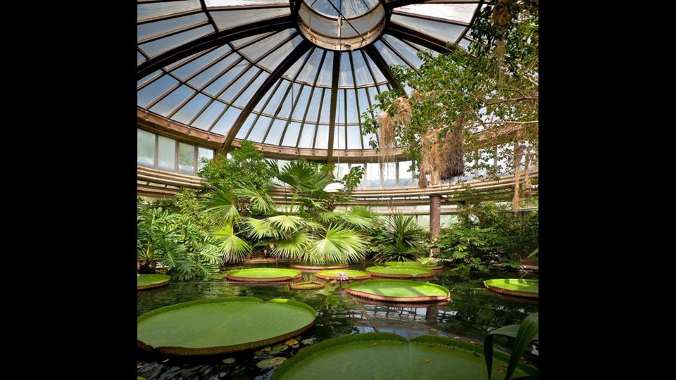 Visita El Jardín Botánico foto 2