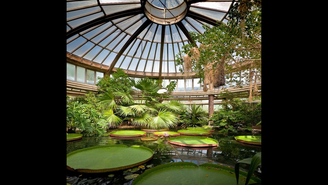 Visite O Jardim Botânico (1)