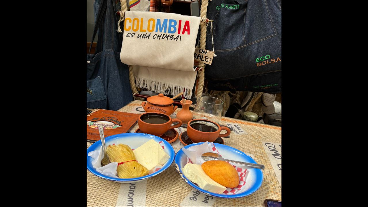 Visite O Jardim Botânico (6)