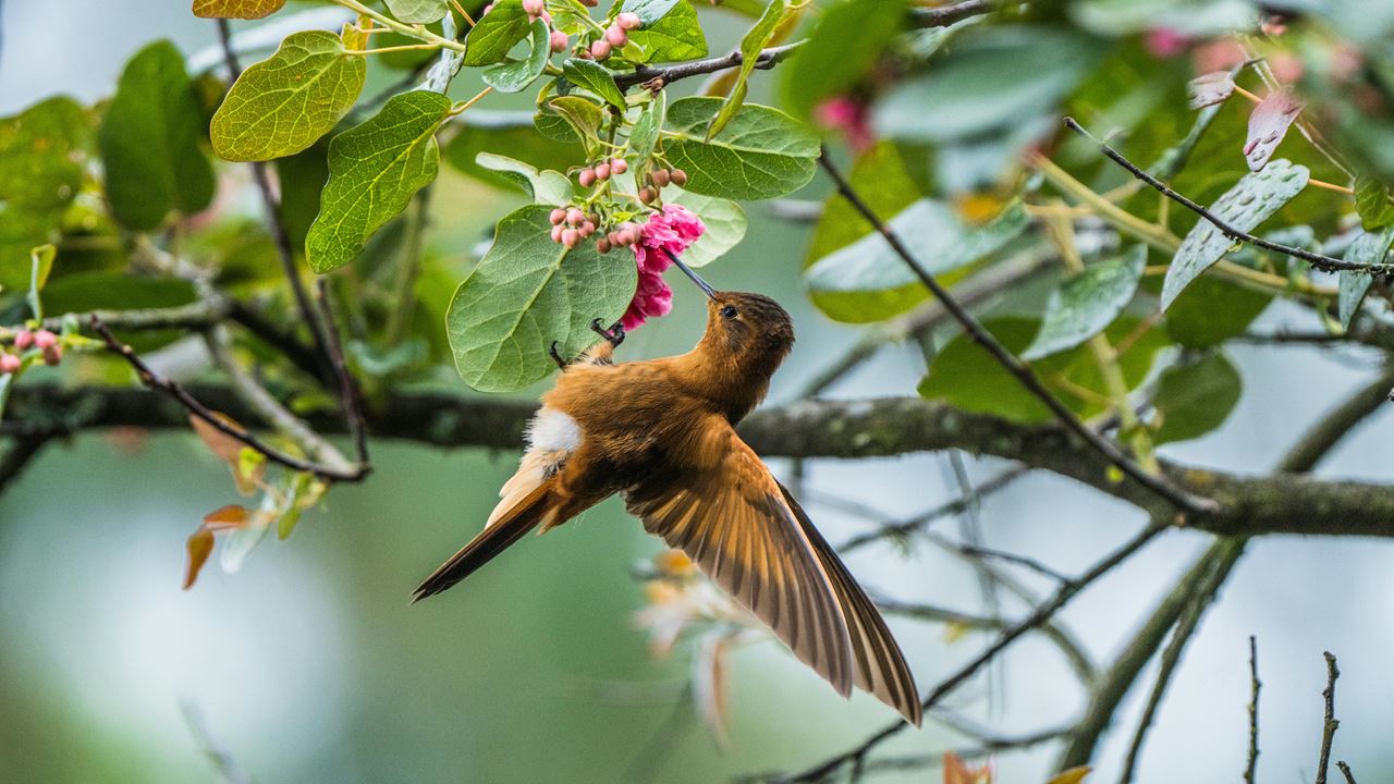 Visite O Jardim Botânico (5)