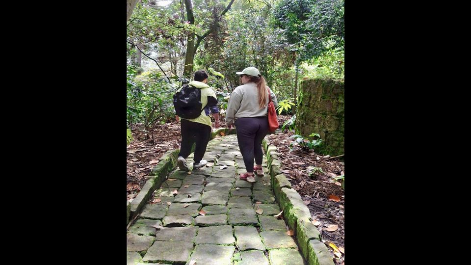 Visita El Jardín Botánico foto 5