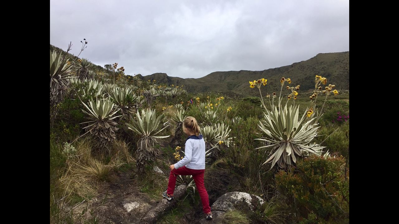 Ecotour To Chingaza National Park