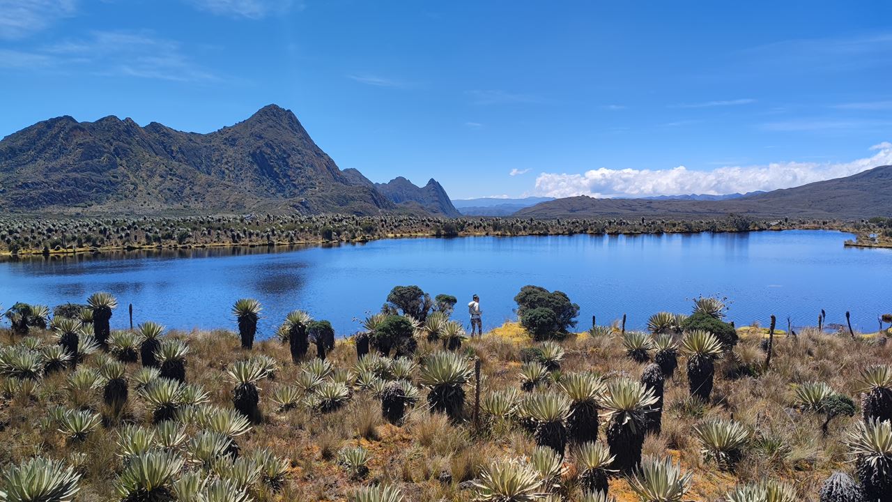 Trekking To The Sumapaz Páramo